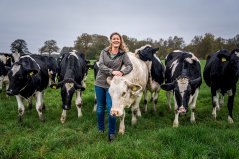 In Nooitgedacht in Drenthe, dairy farmer Giske Warringa coordinates the Wageningen research project on collaboration between arable farmers and livestock farmers. ‘We said: you’re welcome to do research here, and maybe we will learn from the other four PAVEx areas.’ Photo: Jaspar Moulijn.