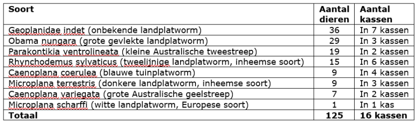 Overzicht van de soorten landplatwormen die bij onderzoek in 25 Nederlandse kassen van oktober 2022 tot en met september 2023 zijn aangetroffen. 