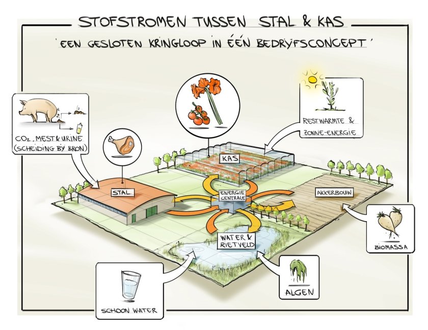 Schets van een bedrijfsconcept waarin materiaalstromen tussen kas, varkenshouderij en akkerbouw worden uitgwisseld. Hoewel er logistieke voordelen zijn als verschillende bedrijfstypes bij elkaar in de buurt liggen, kunnen kringlopen ook over grotere afstanden gesloten worden met behulp van centrale verwerkings- en distributiepunten.