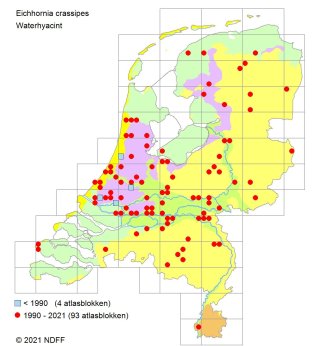 Waterhyacint verspreidingskaart