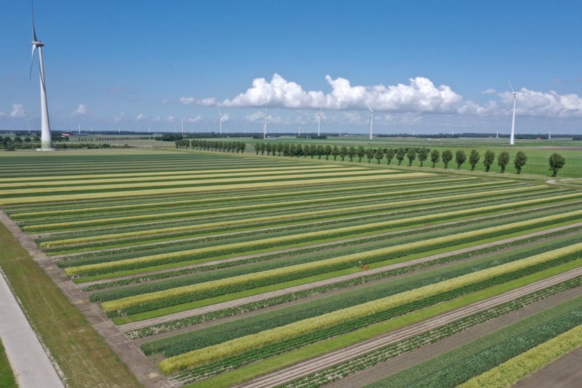 Farm of the Future in Lelystad. Photo credits: OANEvents