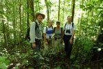 Catarina with supervisors (fltr:Frans Bongers, Catarina, Marielos Pena-Claros , Thom Kuijper) in the field