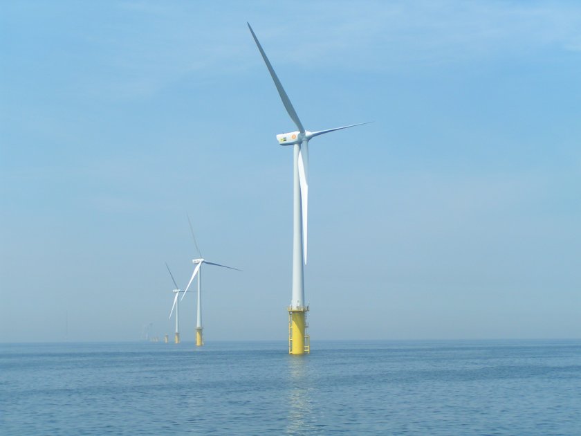 Windparken op zee brengen ecologische risico's met zich mee, maar bieden ook kansen.